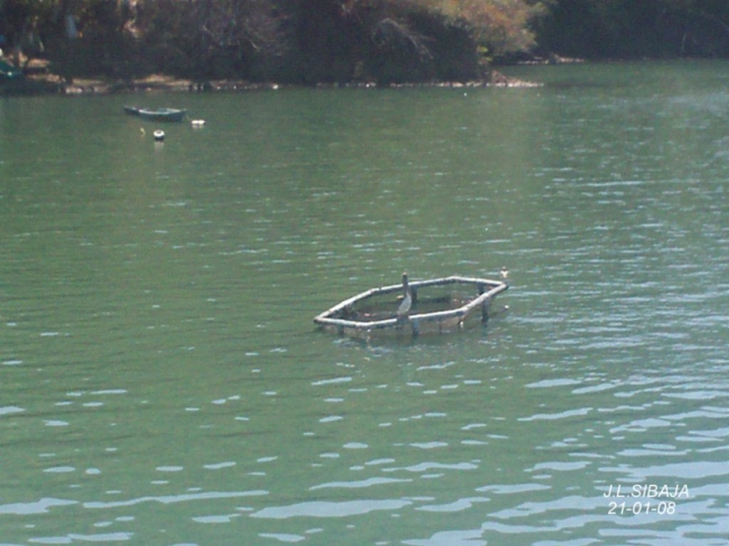 Foto de Puntarenas, Costa Rica