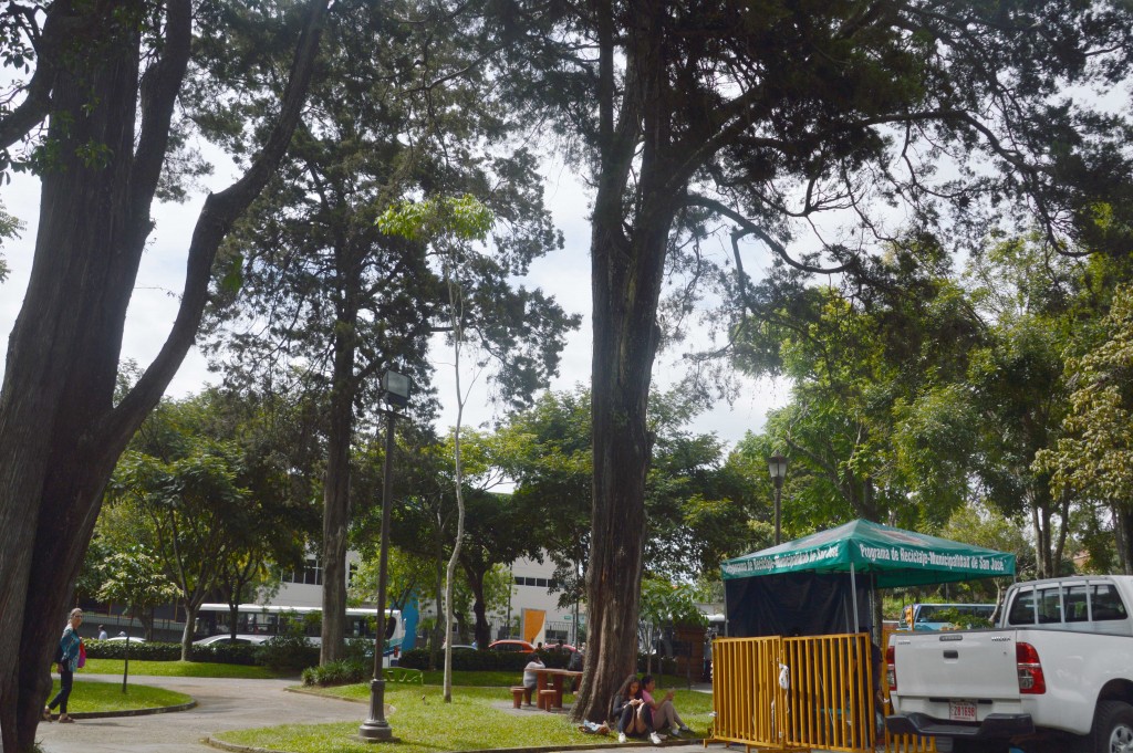 Foto: life  niki - San Jose (San José), Costa Rica