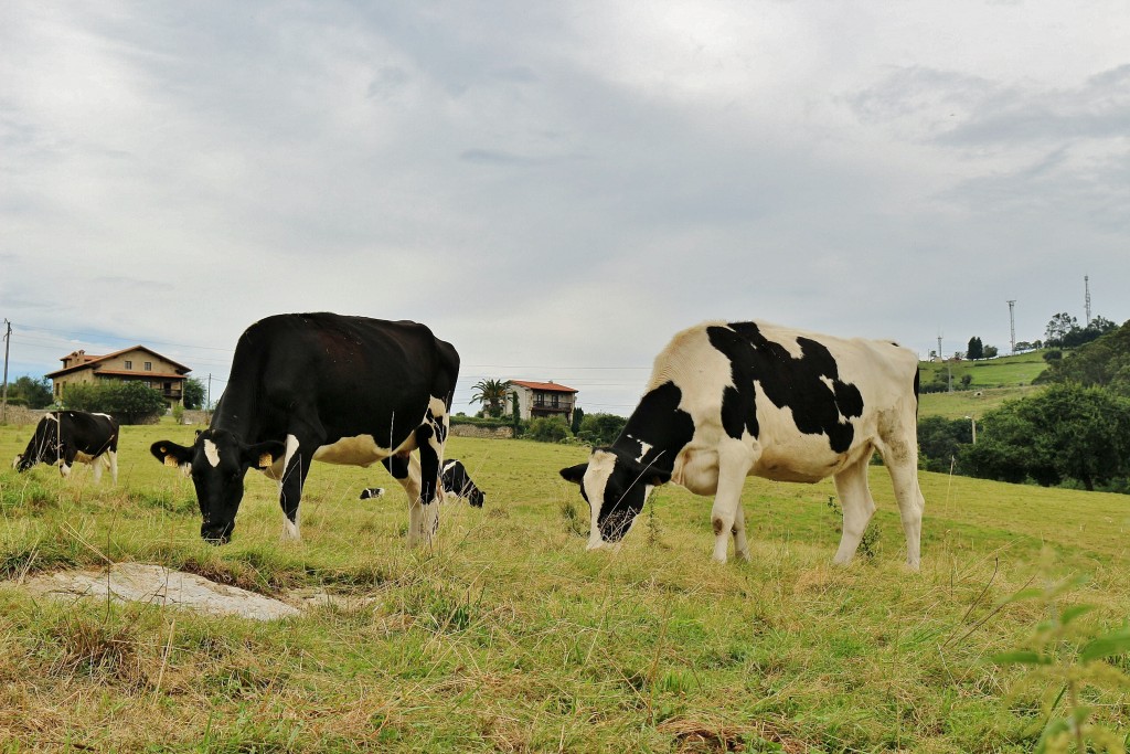 Foto: Centro histórico - Santillana del Mar (Cantabria), España