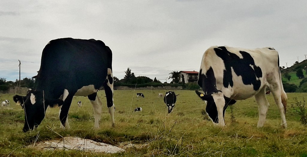 Foto: Centro histórico - Santillana del Mar (Cantabria), España