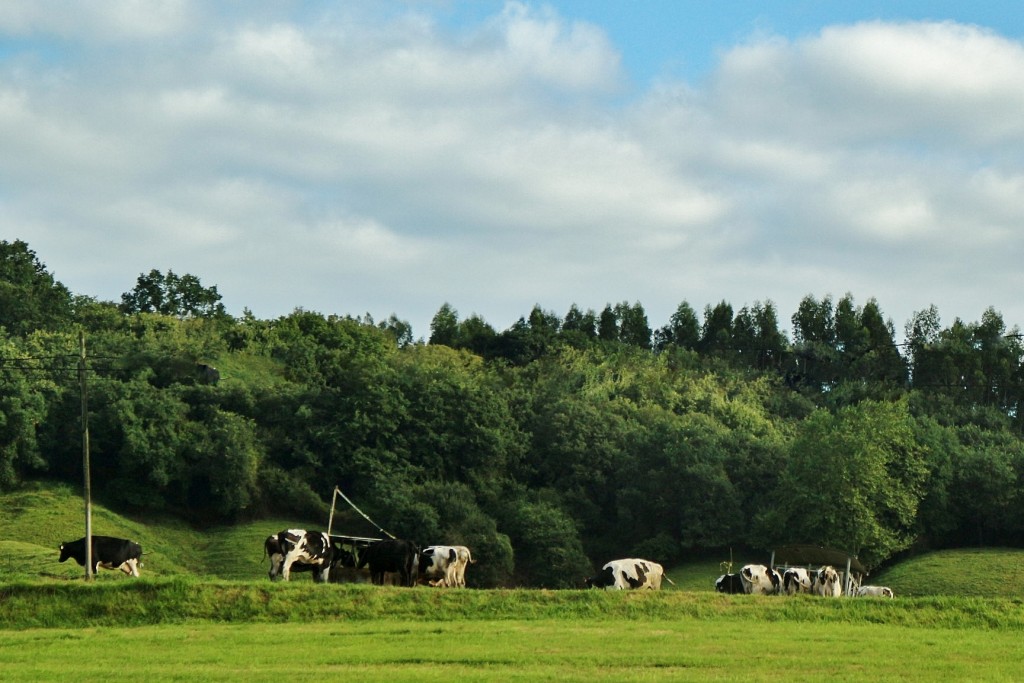 Foto: Vistas - Potes (Cantabria), España