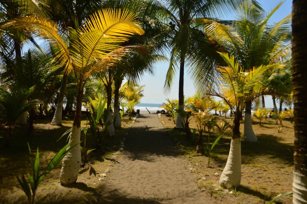 Foto de Esterillos (Puntarenas), Costa Rica