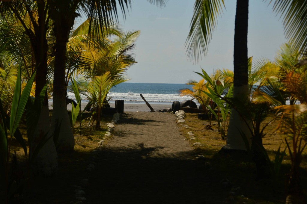 Foto de Esterillos (Puntarenas), Costa Rica