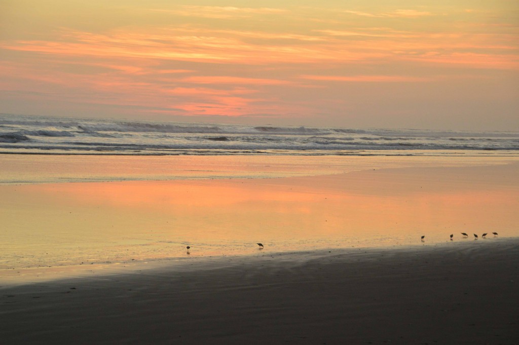 Foto de Esterillos (Puntarenas), Costa Rica