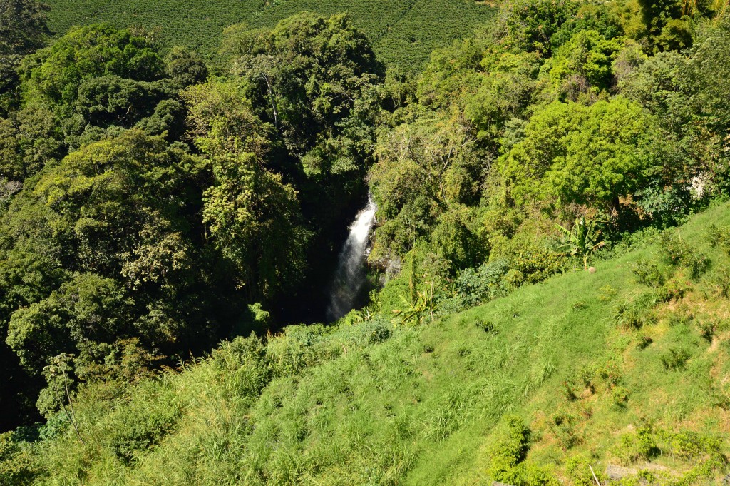 Foto de Esterillos (Puntarenas), Costa Rica