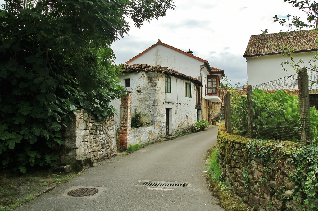Foto: Vista del Pueblo - Alceda (Cantabria), España