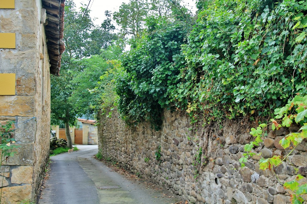 Foto: Vista del Pueblo - Alceda (Cantabria), España