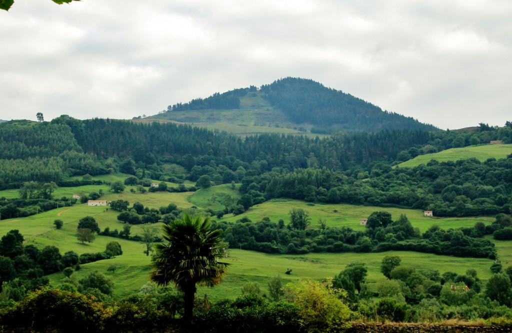 Foto: Paisaje - Alceda (Cantabria), España