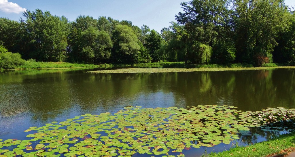 Foto: Pałac w Wilanowie - Wilanów (Masovian Voivodeship), Polonia