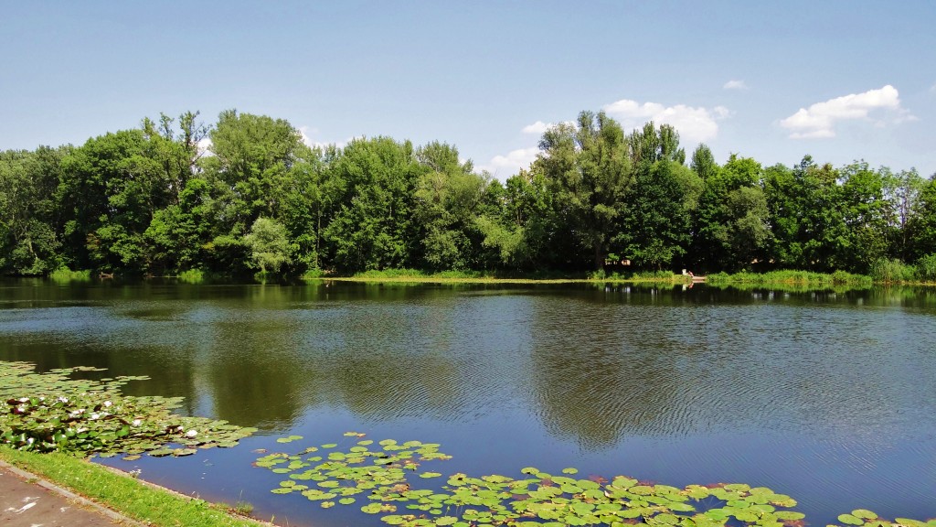 Foto: Pałac w Wilanowie - Wilanów (Masovian Voivodeship), Polonia