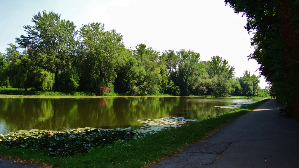 Foto: Pałac w Wilanowie - Wilanów (Masovian Voivodeship), Polonia