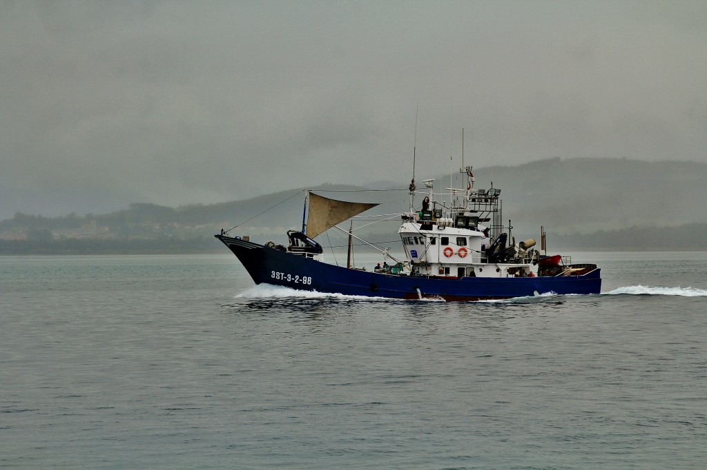 Foto: Bahía de Santoña - Santoña (Cantabria), España