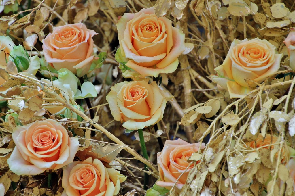 Foto: Girona en flor 2018 - Girona (Cataluña), España