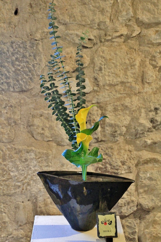 Foto: Girona en flor 2018 - Girona (Cataluña), España