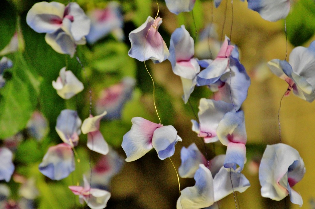 Foto: Girona en flor 2018 - Girona (Cataluña), España