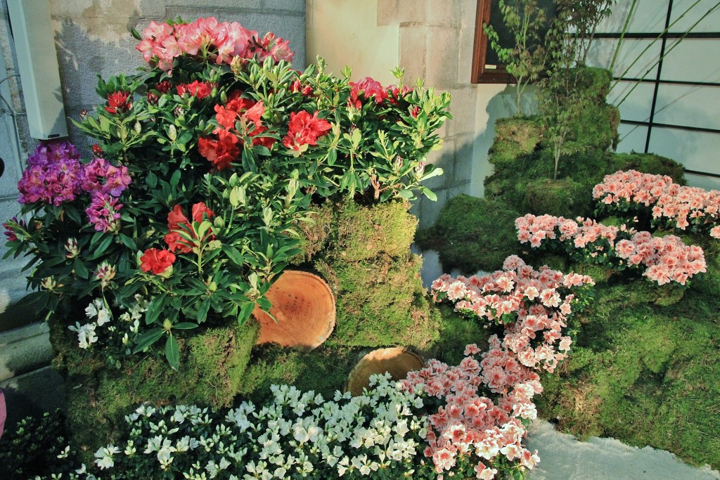 Foto: Girona en flor 2018 - Girona (Cataluña), España