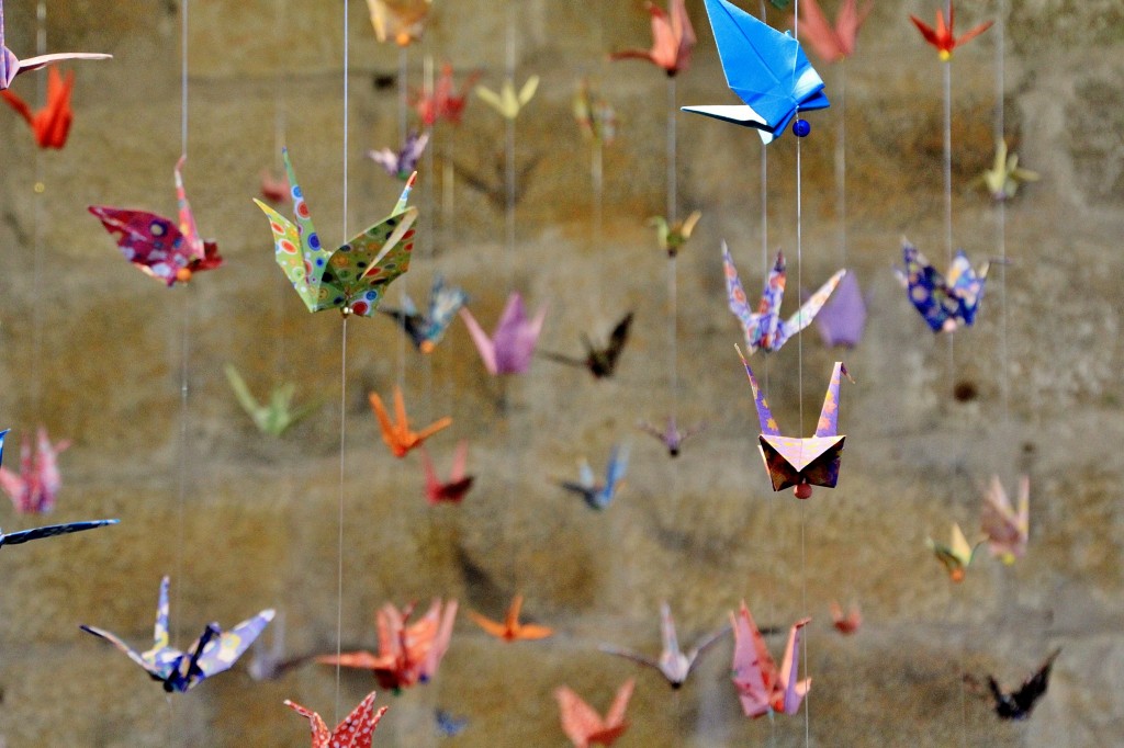 Foto: Girona en flor 2018 - Girona (Cataluña), España