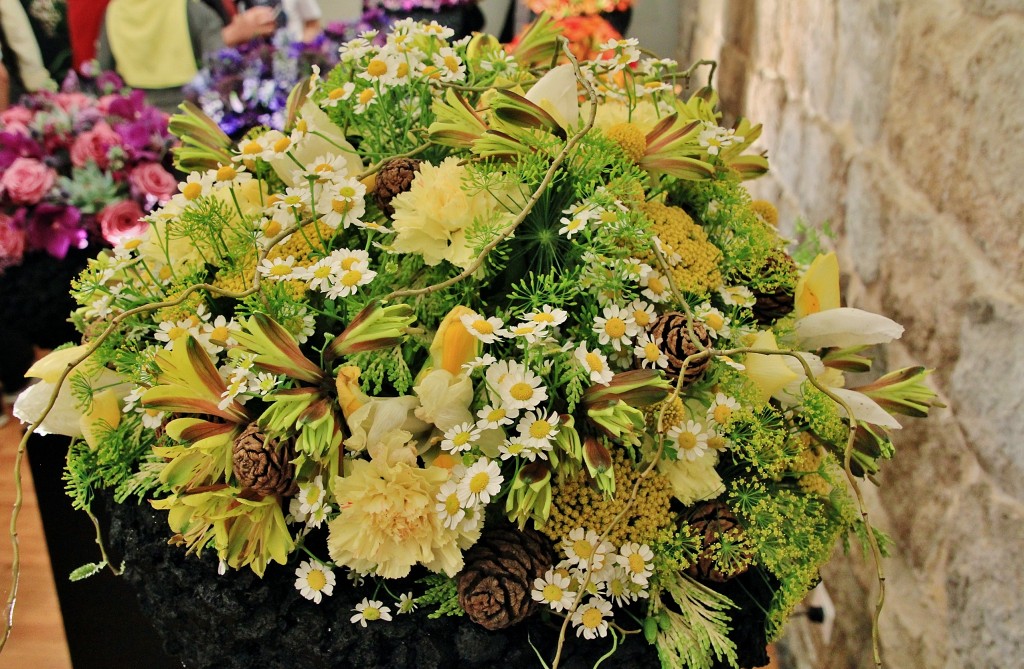 Foto: Girona en flor 2018 - Girona (Cataluña), España