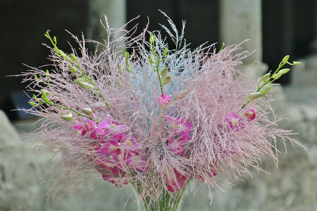 Foto: Girona en flor 2018 - Girona (Cataluña), España