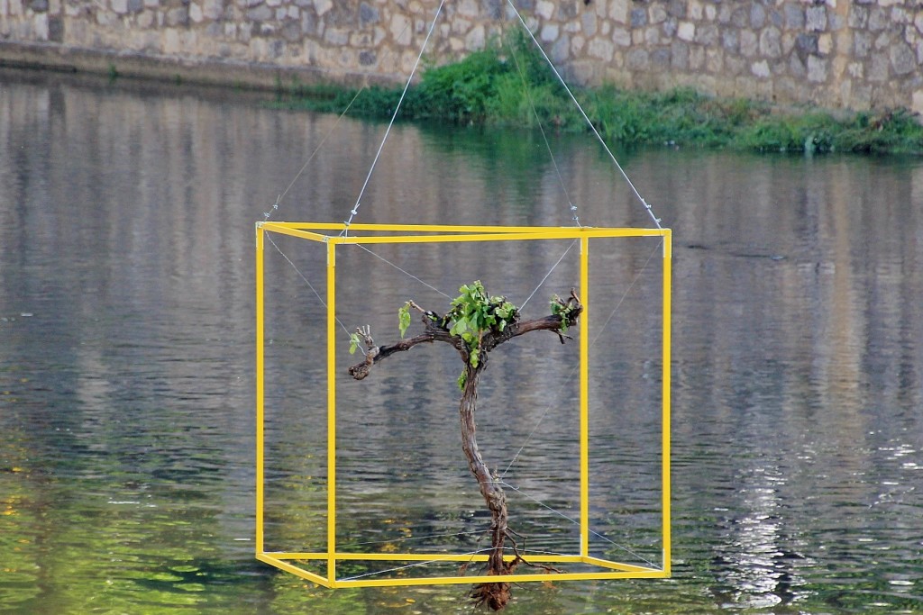 Foto: Girona en flor 2018 - Girona (Cataluña), España