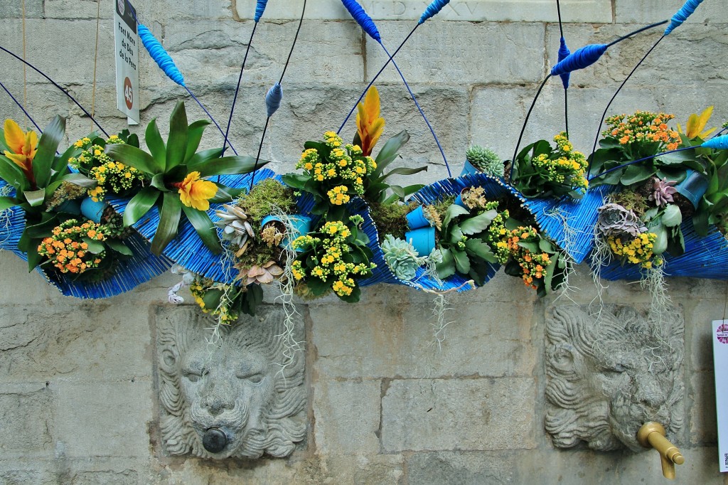 Foto: Girona en flor 2018 - Girona (Cataluña), España