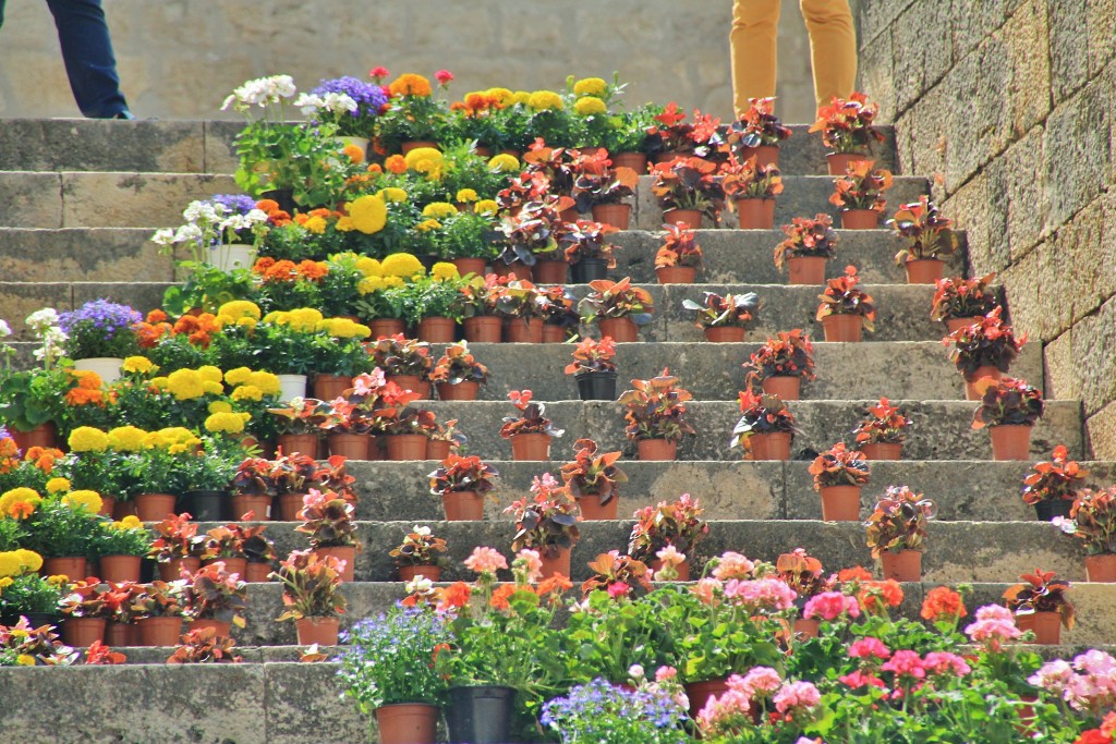 Foto: Girona en flor 2018 - Girona (Cataluña), España