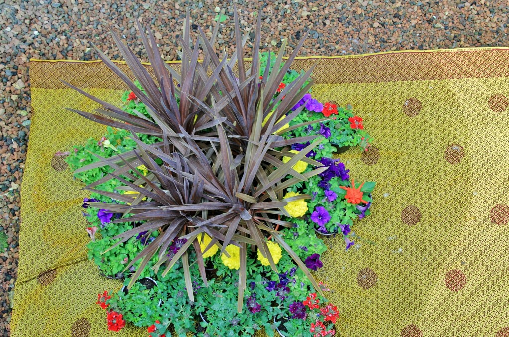 Foto: Girona en flor 2018 - Girona (Cataluña), España