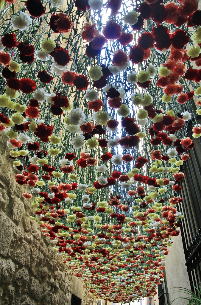 Foto: Girona en flor 2018 - Girona (Cataluña), España