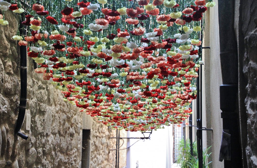 Foto: Girona en flor 2018 - Girona (Cataluña), España
