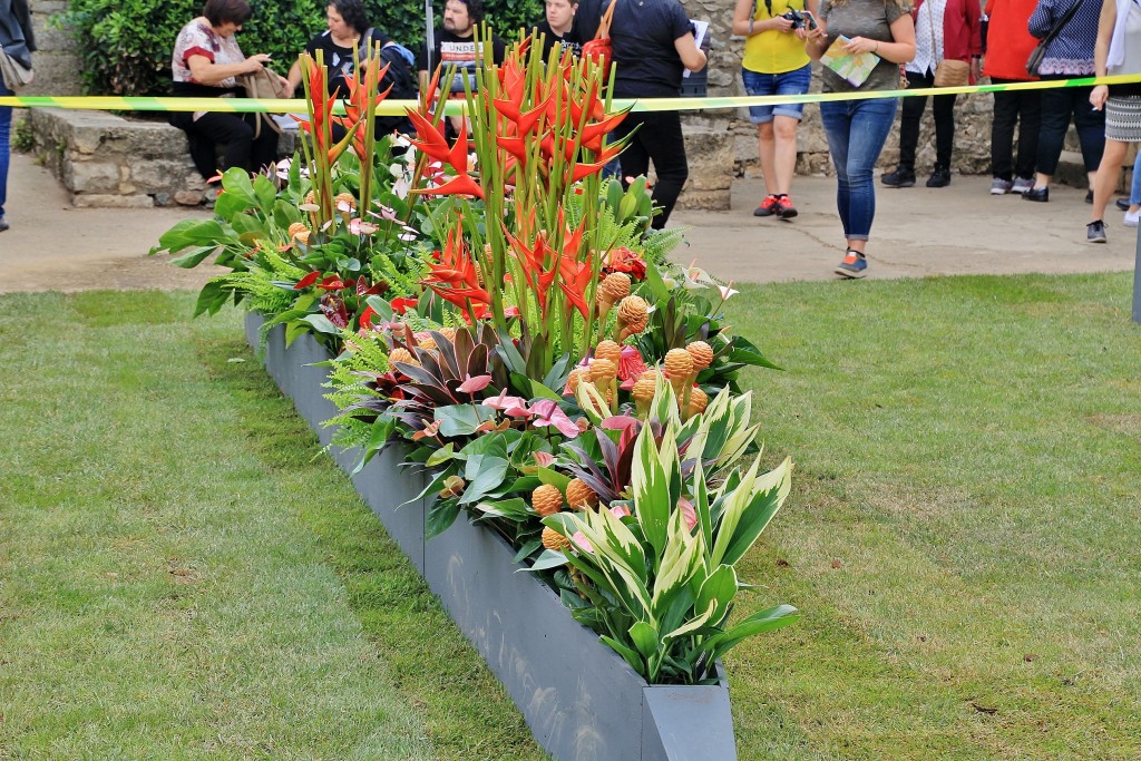 Foto: Girona en flor 2018 - Girona (Cataluña), España