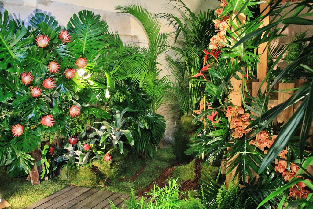 Foto: Girona en flor 2018 - Girona (Cataluña), España