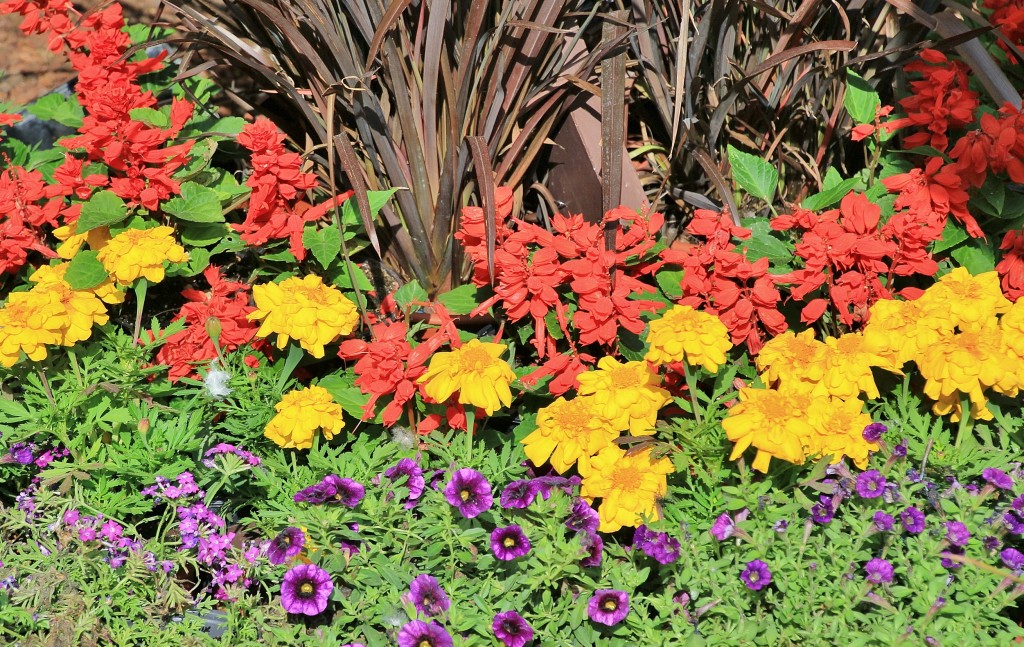 Foto: Girona en flor 2018 - Girona (Cataluña), España