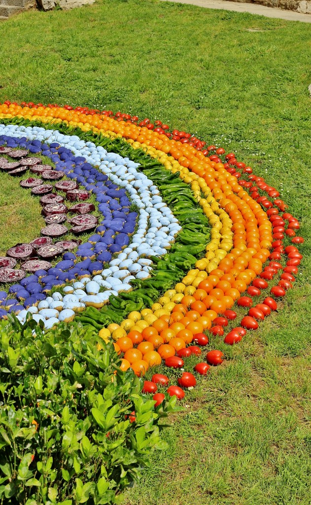 Foto: Girona en flor 2018 - Girona (Cataluña), España