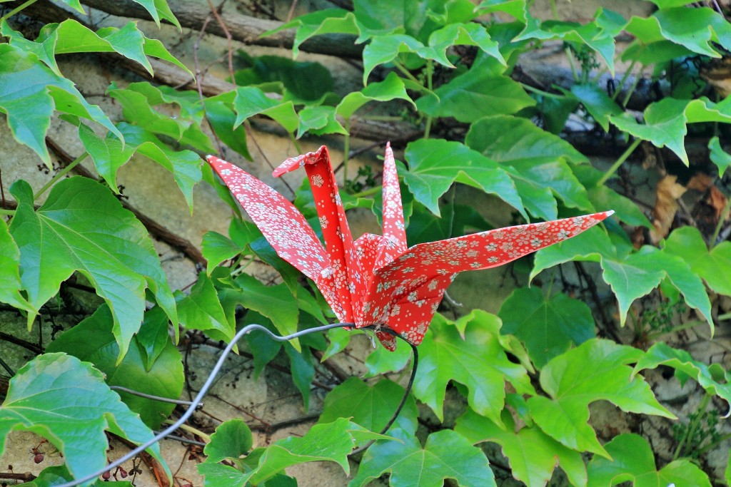 Foto: Girona en flor 2018 - Girona (Cataluña), España