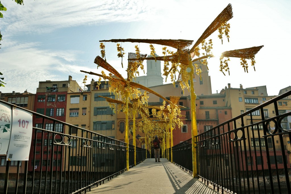 Foto: Girona en flor 2018 - Girona (Cataluña), España