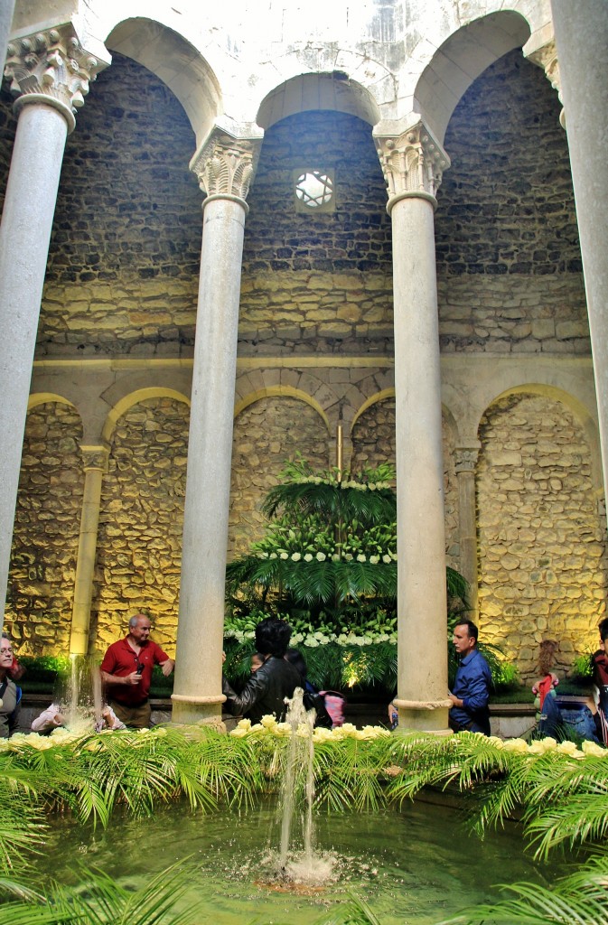 Foto: Girona en flor 2018 - Girona (Cataluña), España