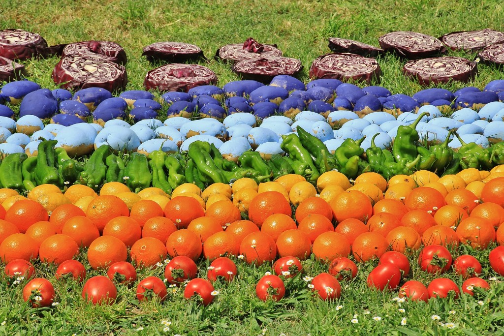 Foto: Girona en flor 2018 - Girona (Cataluña), España