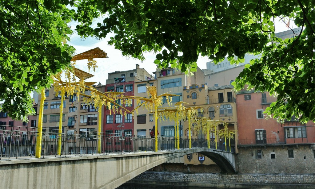 Foto: Girona en flor 2018 - Girona (Cataluña), España