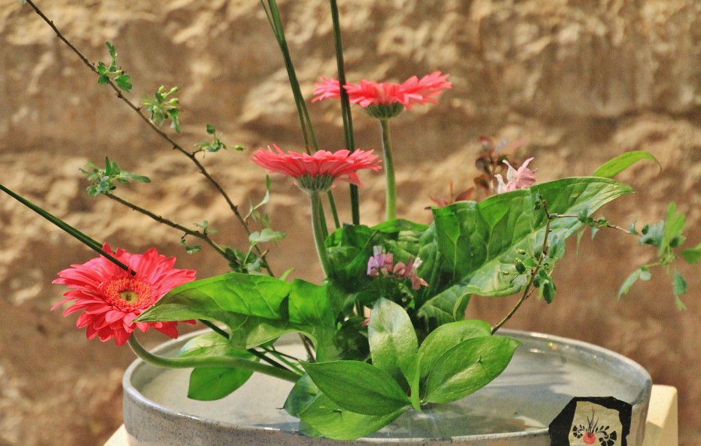 Foto: Girona en flor 2018 - Girona (Cataluña), España