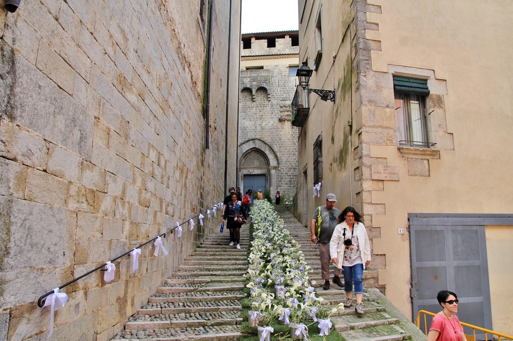 Foto: Girona en flor 2018 - Girona (Cataluña), España