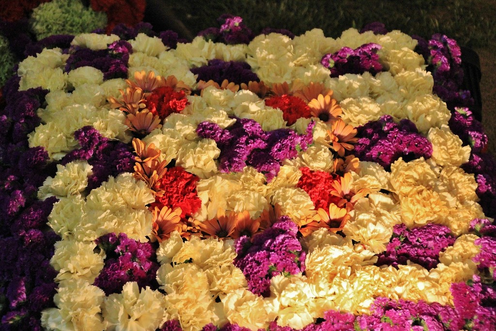 Foto: Girona en flor 2018 - Girona (Cataluña), España