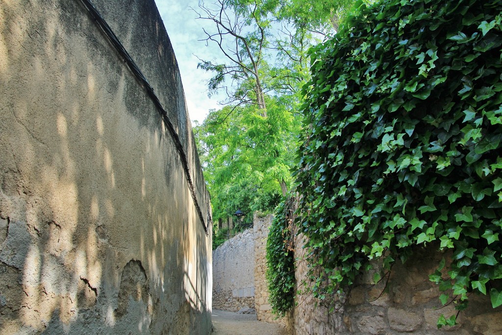 Foto: Girona en flor 2018 - Girona (Cataluña), España