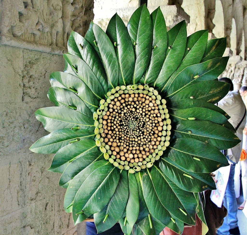 Foto: Girona en flor 2018 - Girona (Cataluña), España