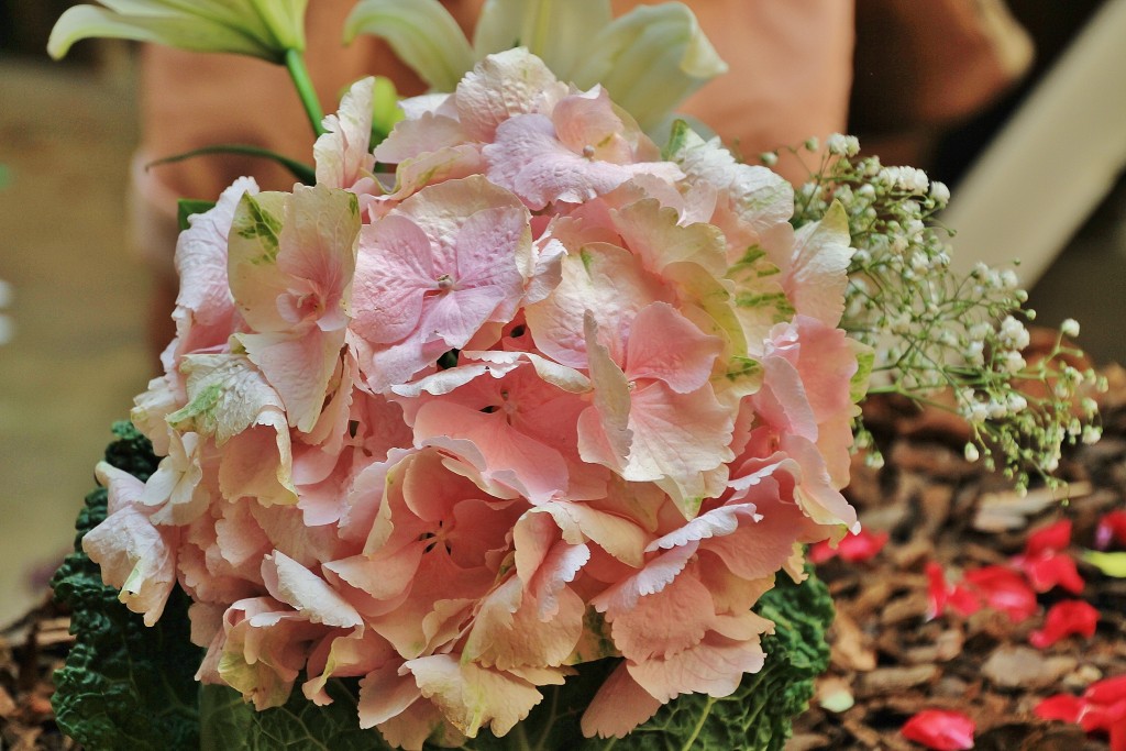 Foto: Girona en flor 2018 - Girona (Cataluña), España