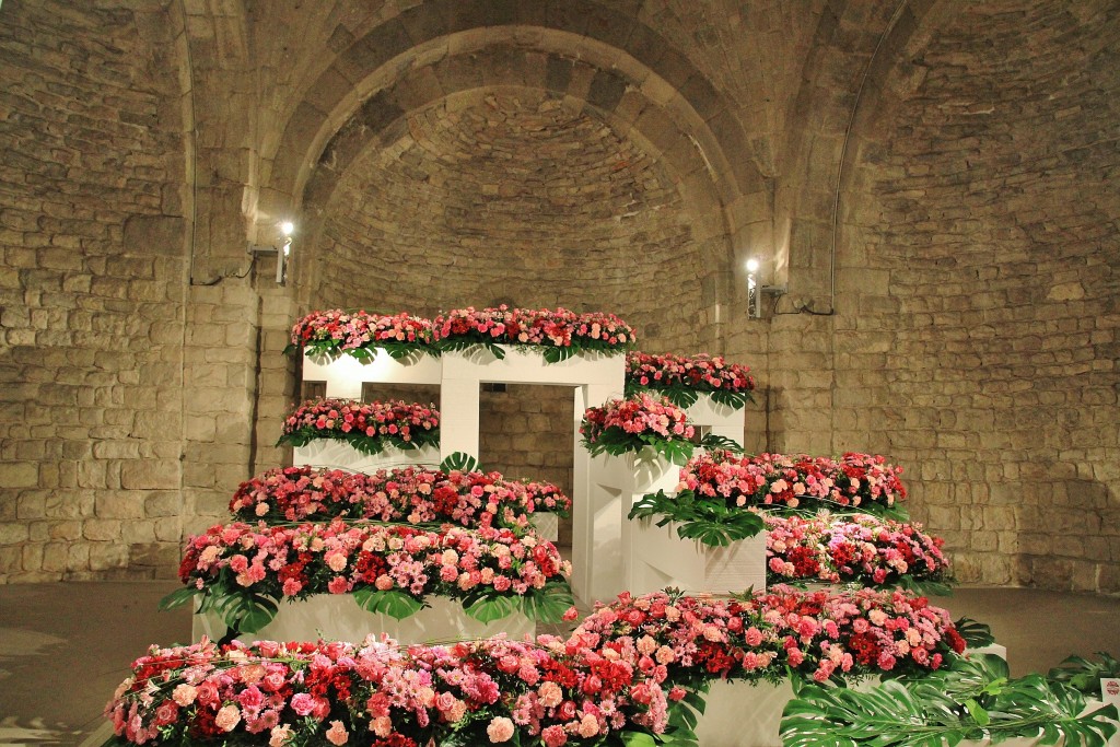 Foto: Girona en flor 2018 - Girona (Cataluña), España