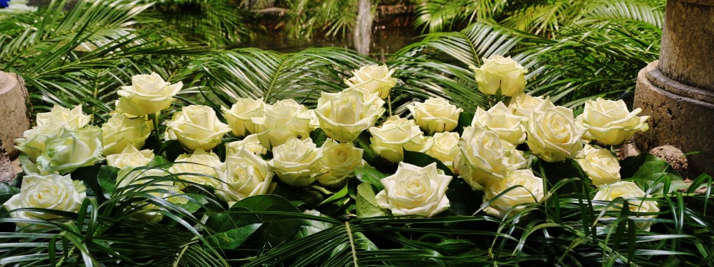 Foto: Girona en flor 2018 - Girona (Cataluña), España