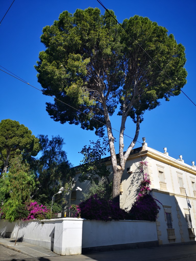 Foto de San Fernando (Cádiz), España