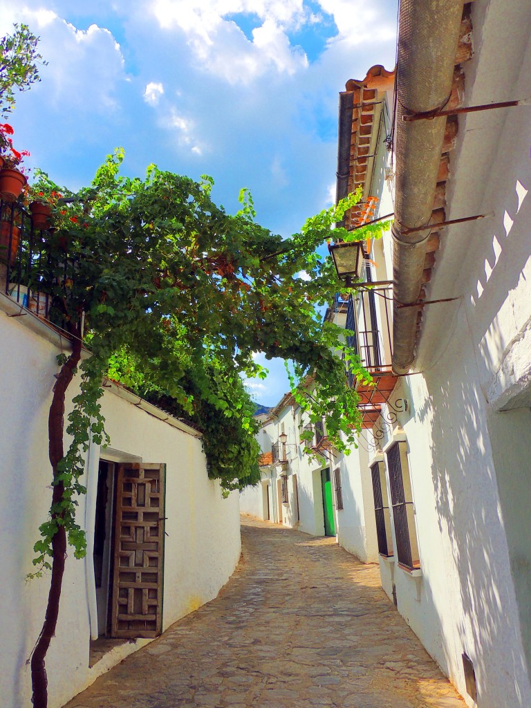 Foto: Calle  Dionisio Perez - Grazalema (Cádiz), España