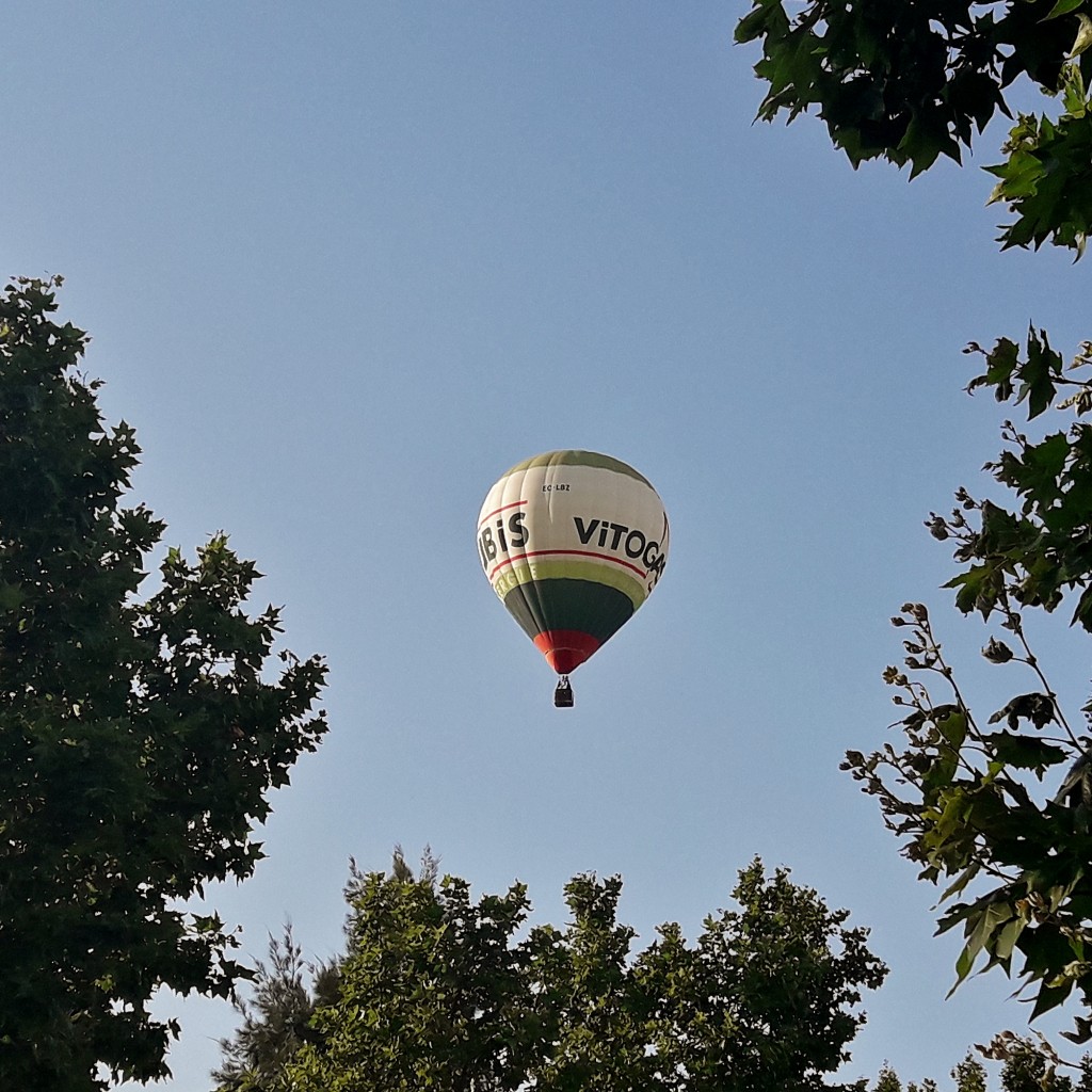 Foto: Concurso de globos - Igualada (Barcelona), España