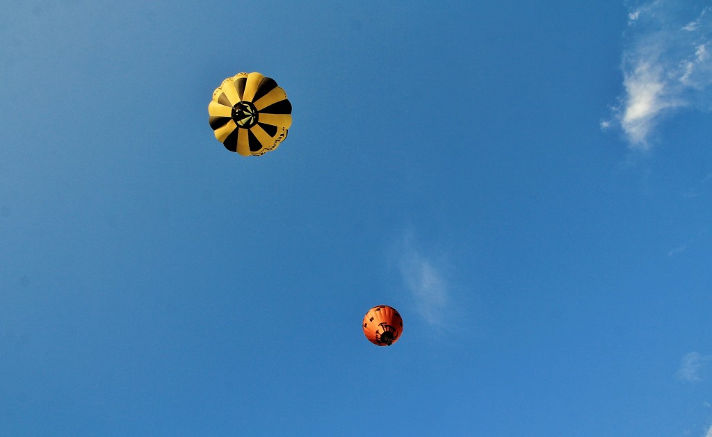 Foto: Concurso de globos - Igualada (Barcelona), España